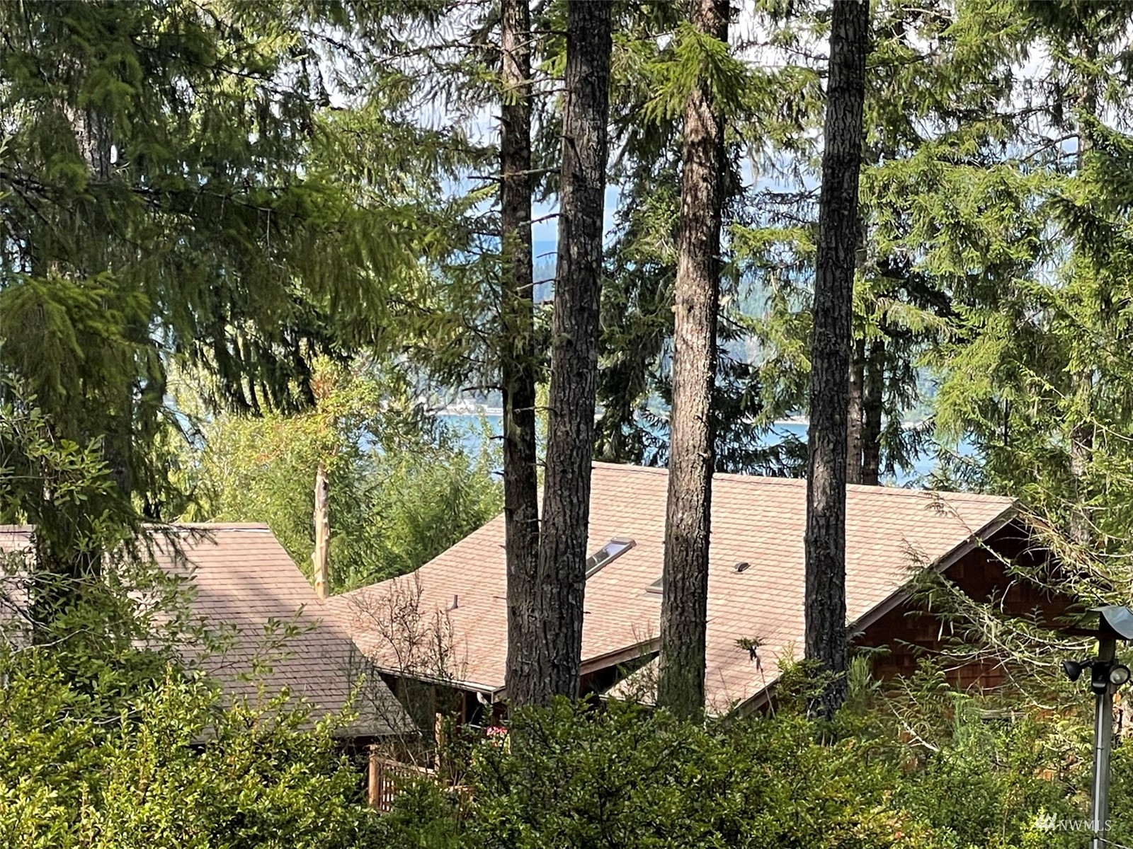 -xxx East Dalby Road Union, WA 98592 - Photo 9 of 17 a view of a forest from a tree