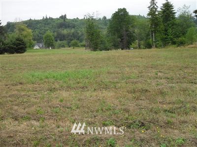 102 Malone Hill Road Elma, WA 98541 - Photo 1 of 1