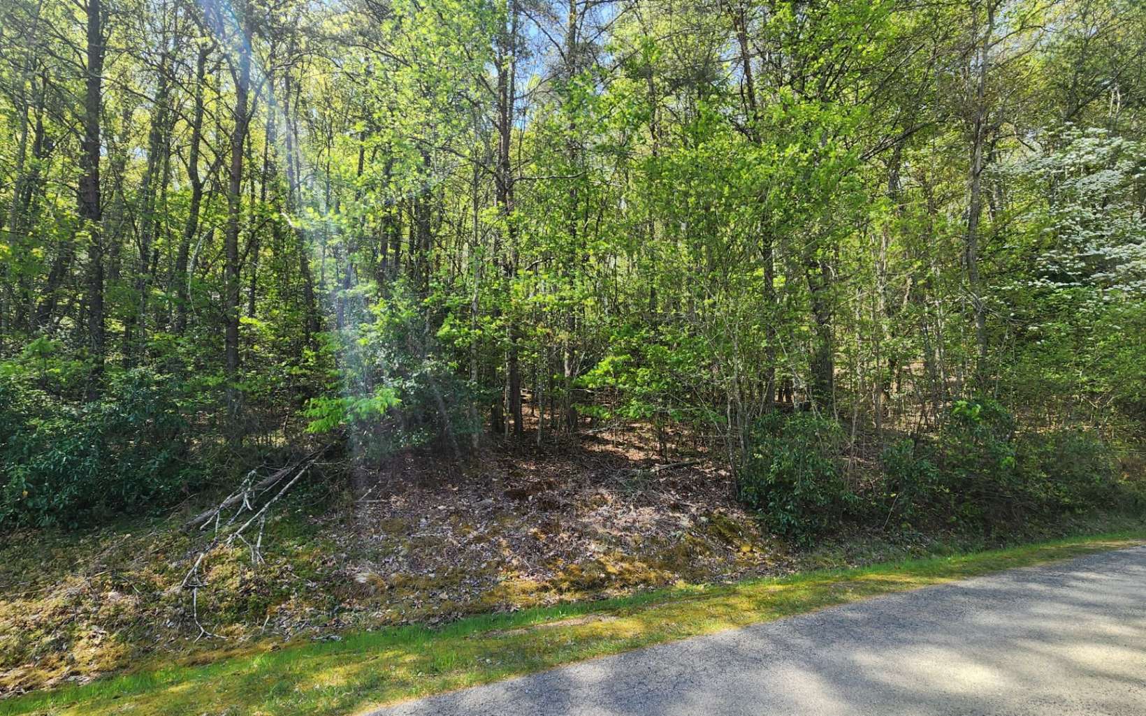 24 Mull Road Morganton, GA 30560 - Photo 15 of 21 Additional View