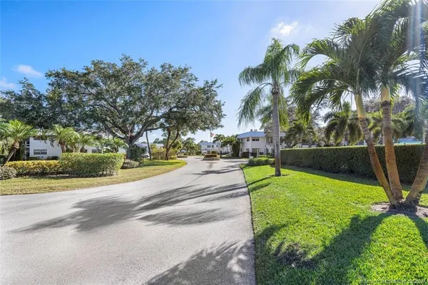 a view of a park with palm trees