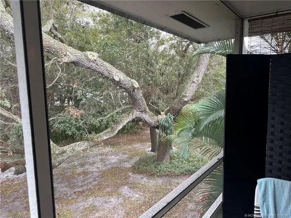 a view of a yard with a tree