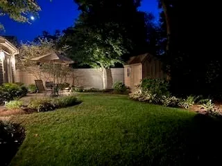 a view of a garden with plants
