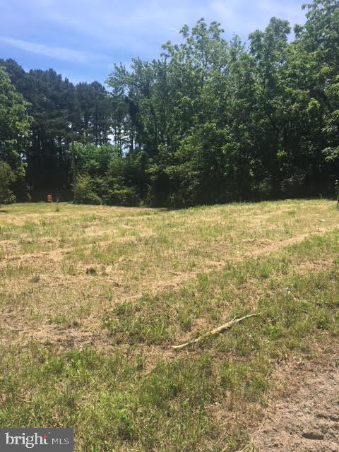 1465 Madison Road Stockton, MD 21864 - Photo 4 of 4