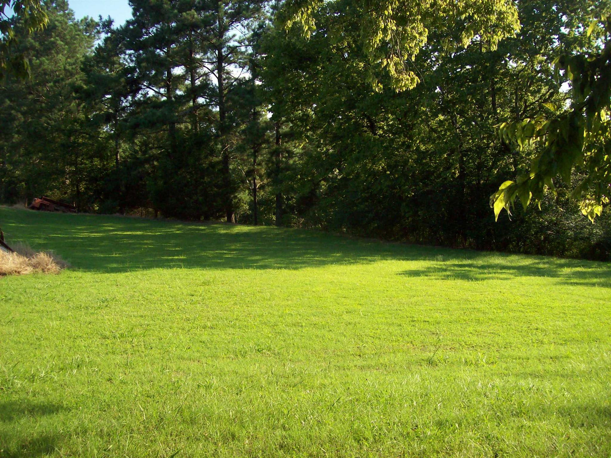 147 Lewis Totty Road Duck River, TN 38454 - Photo 23 of 24 Gallery Image 23