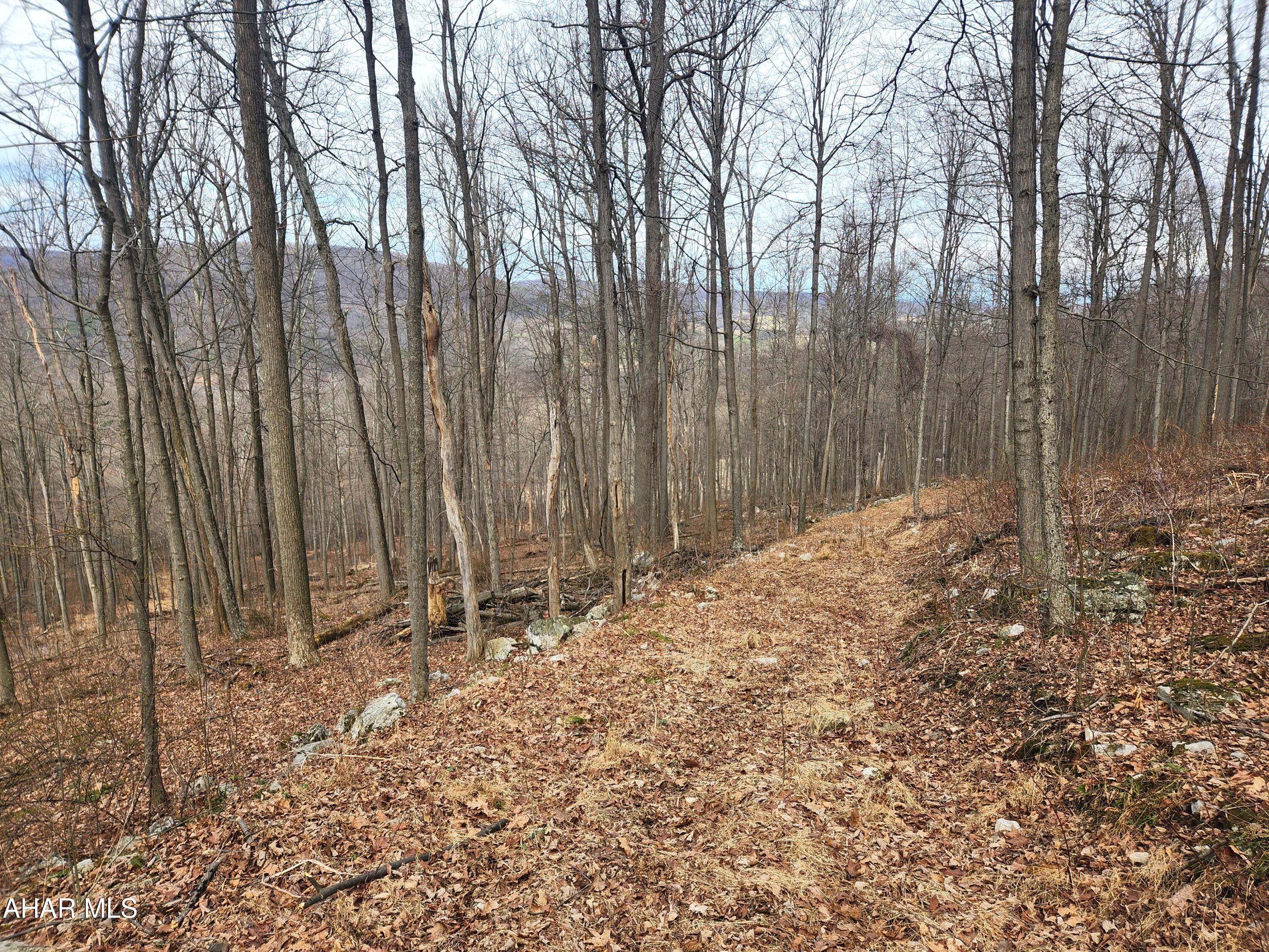 303 Wake Road Buffalo Mills, PA 15534 - Photo 24 of 31