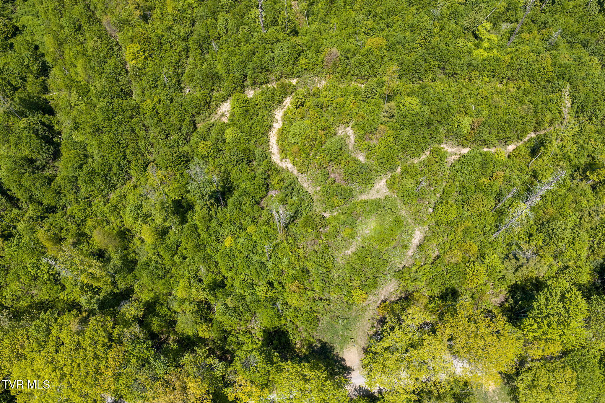 Tbd Walnut Mountain Road, Unit TBD Butler, TN 37640 - Photo 10 of 22 6-web-or-mls-DJI_20260512141506_0696_D