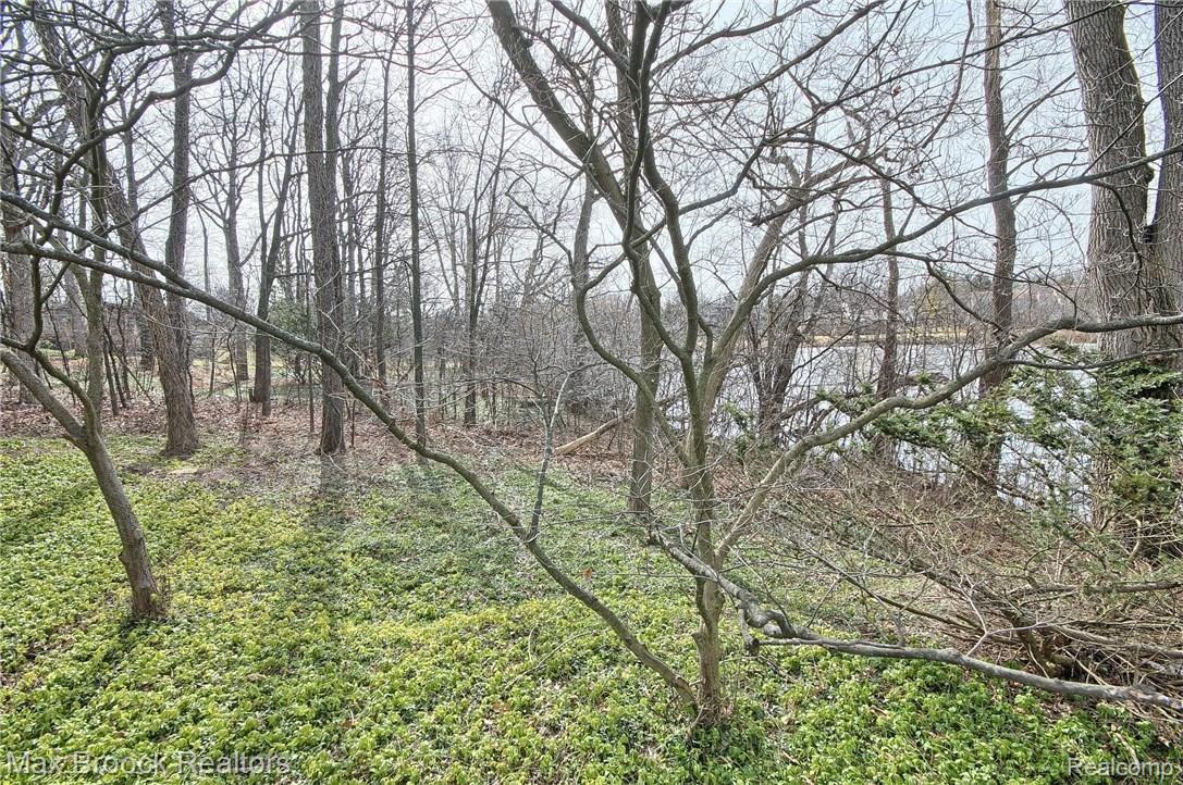 4180 Stoddard Road West Bloomfield, MI 48323 - Photo 41 of 43 Lakeside_lV.jpg