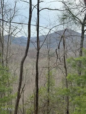 $226,500 | Tbd Ray Kegley Road, Erwin, TN 37650