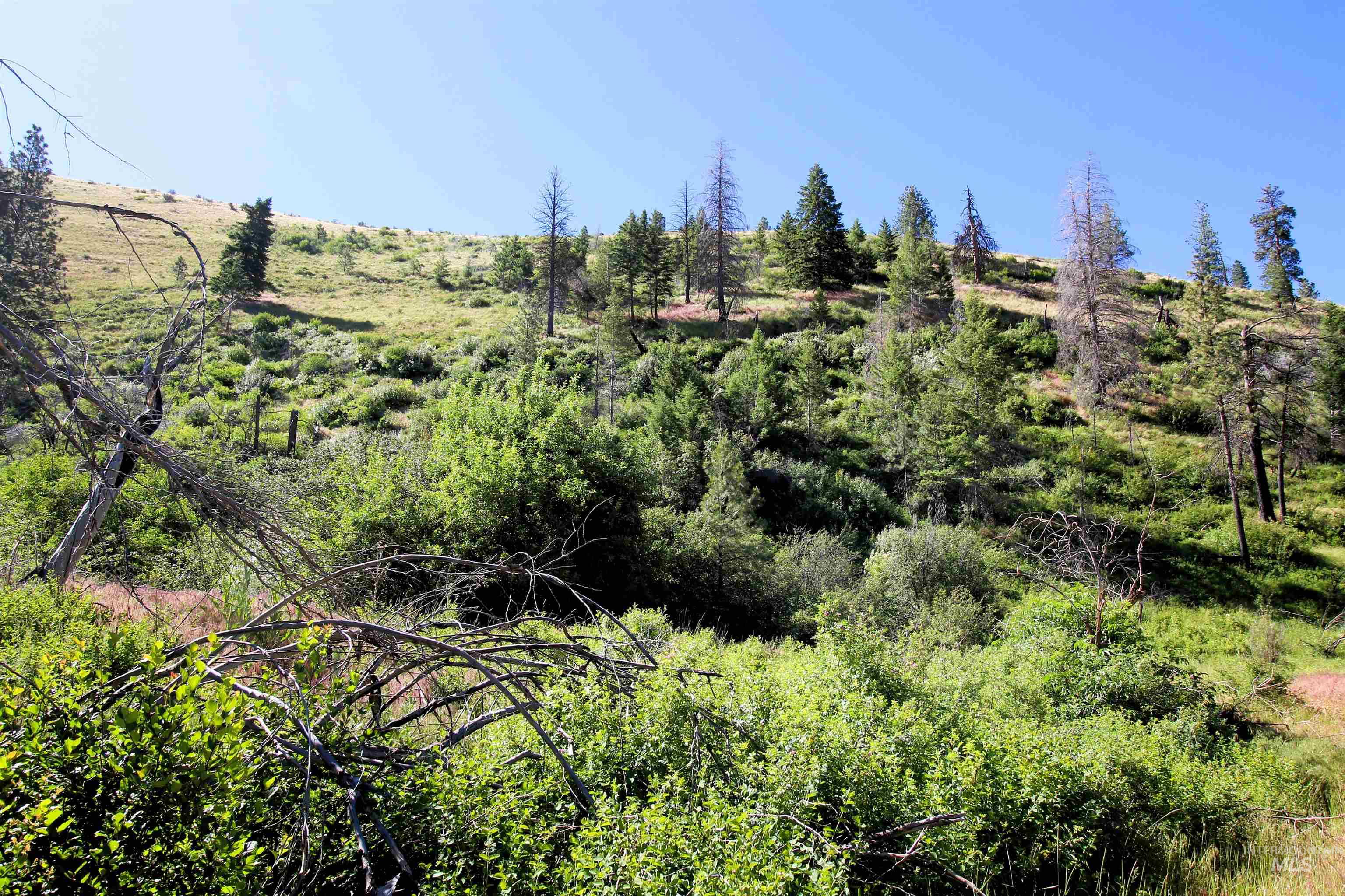 Tbd Advent Gulch Road Cambridge, ID 83610 - Photo 6 of 30