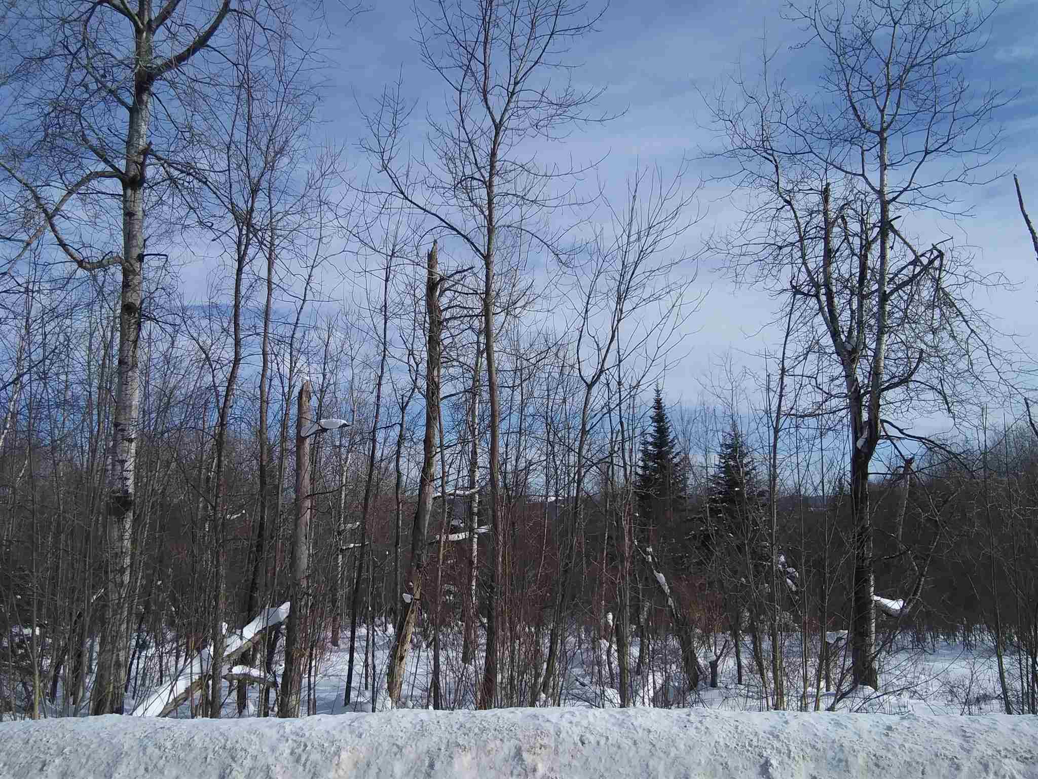 617 Titus Hill Road Colebrook, NH 03576 - Photo 10 of 12