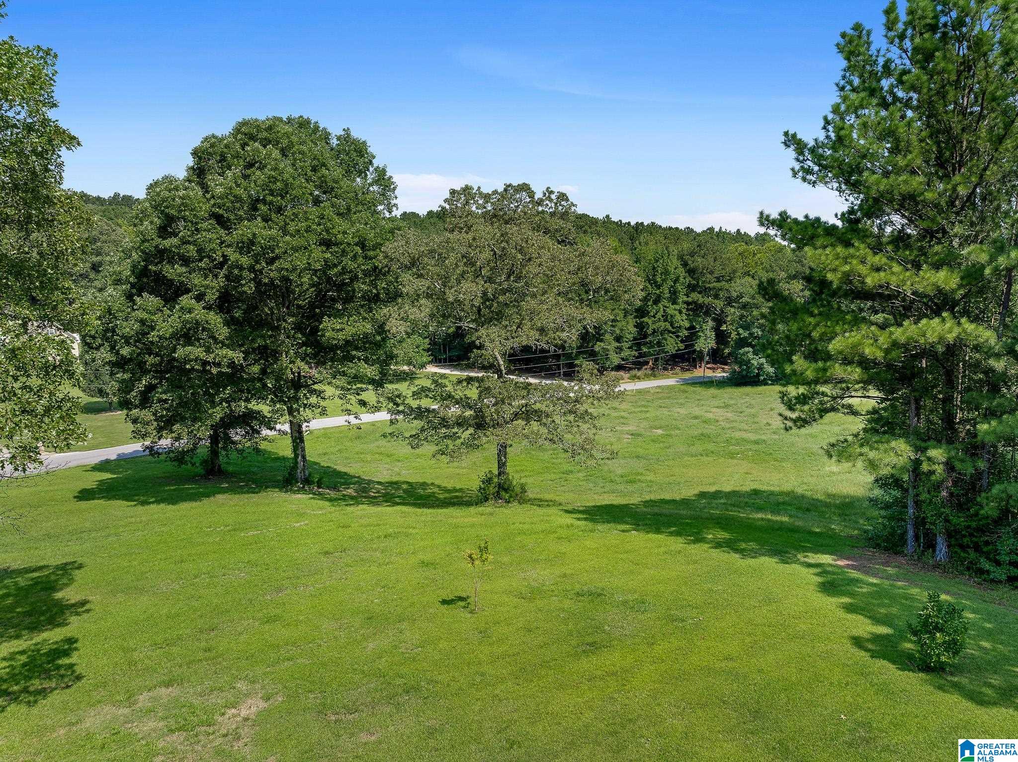 2105 Church Road Pell City, AL 35128 - Photo 34 of 44