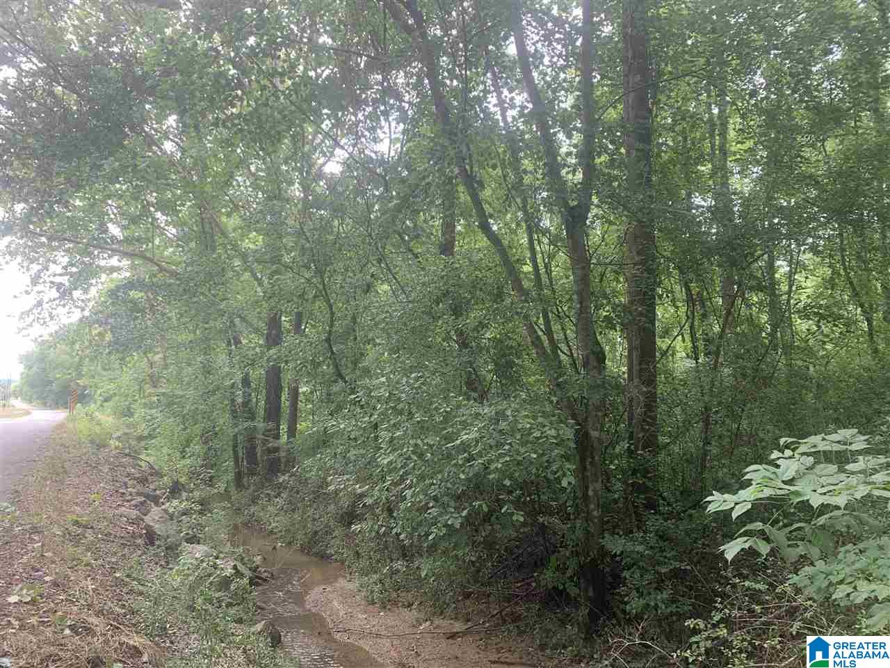 0 Babbling Brook Road Piedmont, AL 36272 - Photo 5 of 6