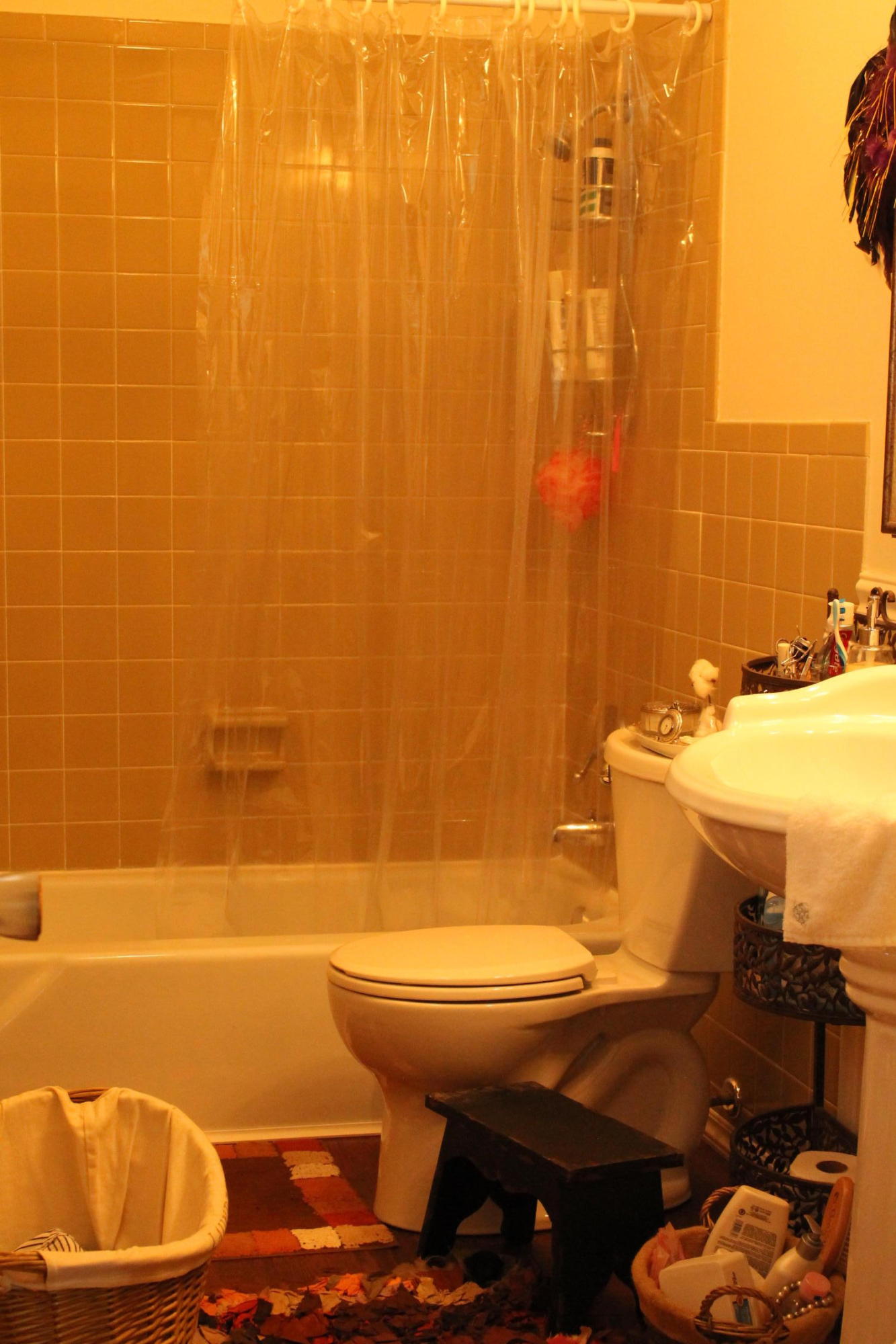 316 Highfield Road Knoxville, TN 37923 - Photo 16 of 29 master bath