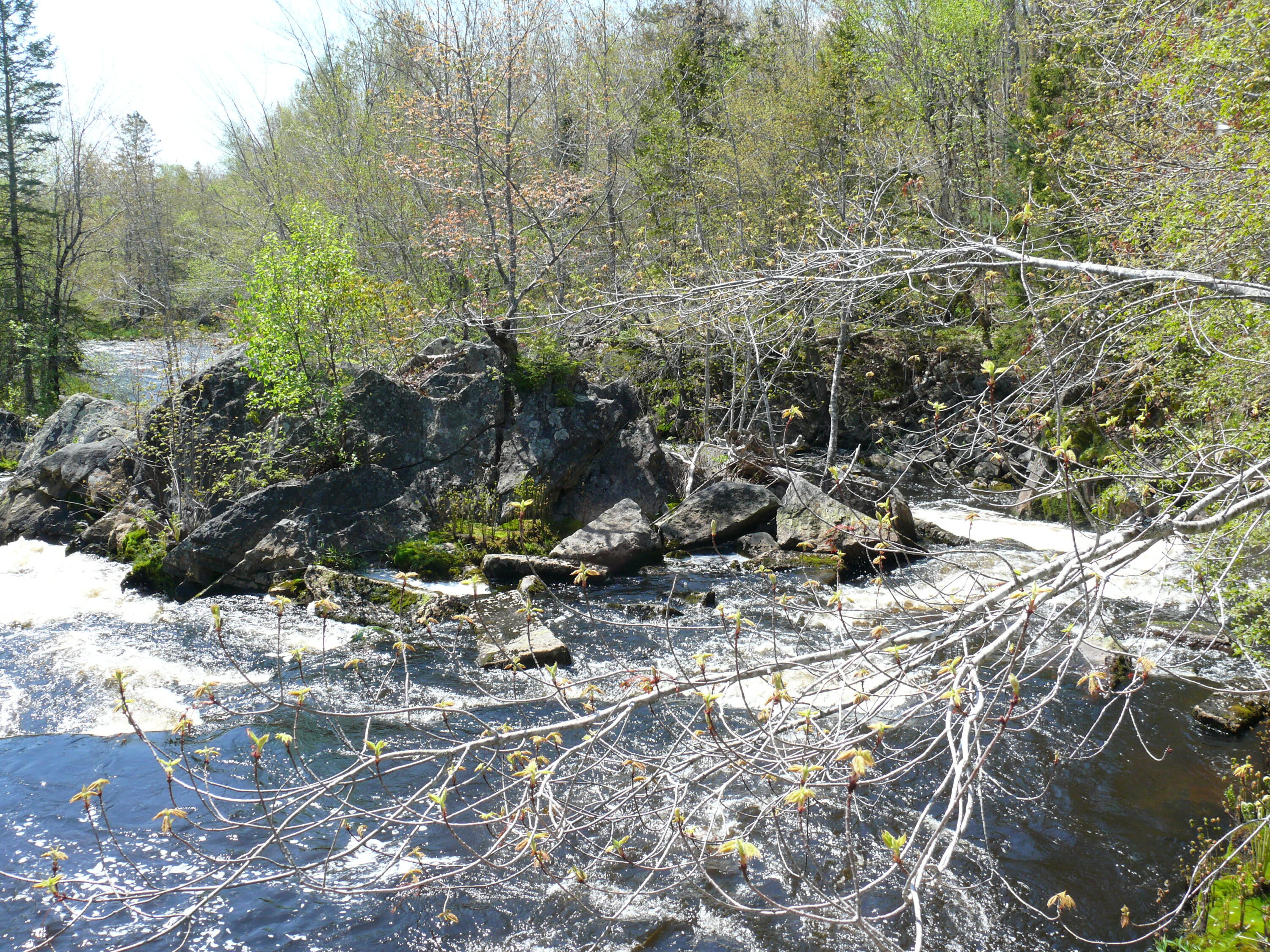 25 Epping Road Columbia Falls, ME 04623 - Photo 37 of 39 SACO FALLS