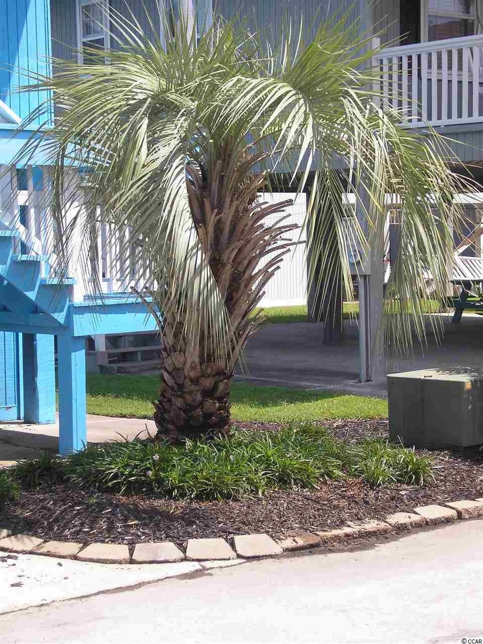 122 Easy Street Murrells Inlet, SC 29576 - Photo 24 of 24 Gallery Image 24