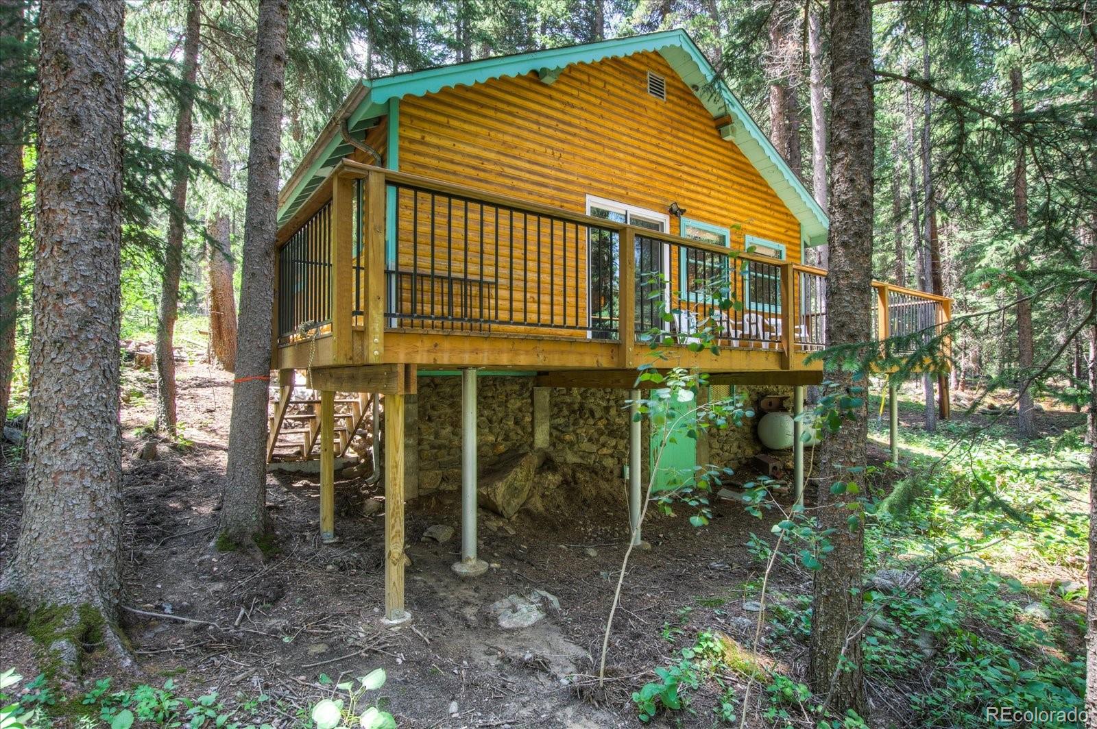 376 Ridge View Trail Idaho Springs, CO 80452 - Photo 23 of 29 Gallery Image 23