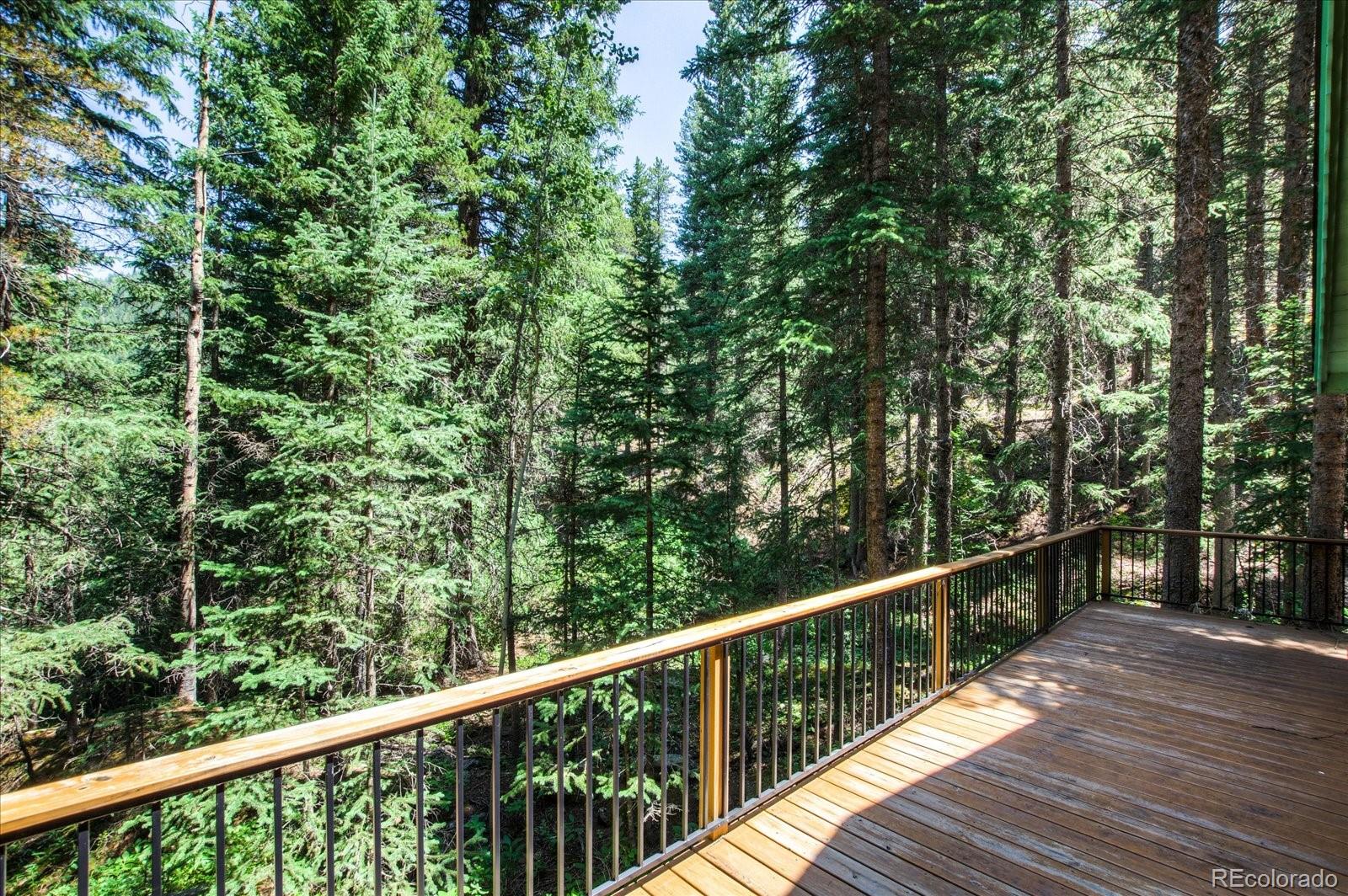 376 Ridge View Trail Idaho Springs, CO 80452 - Photo 26 of 29 Gallery Image 26