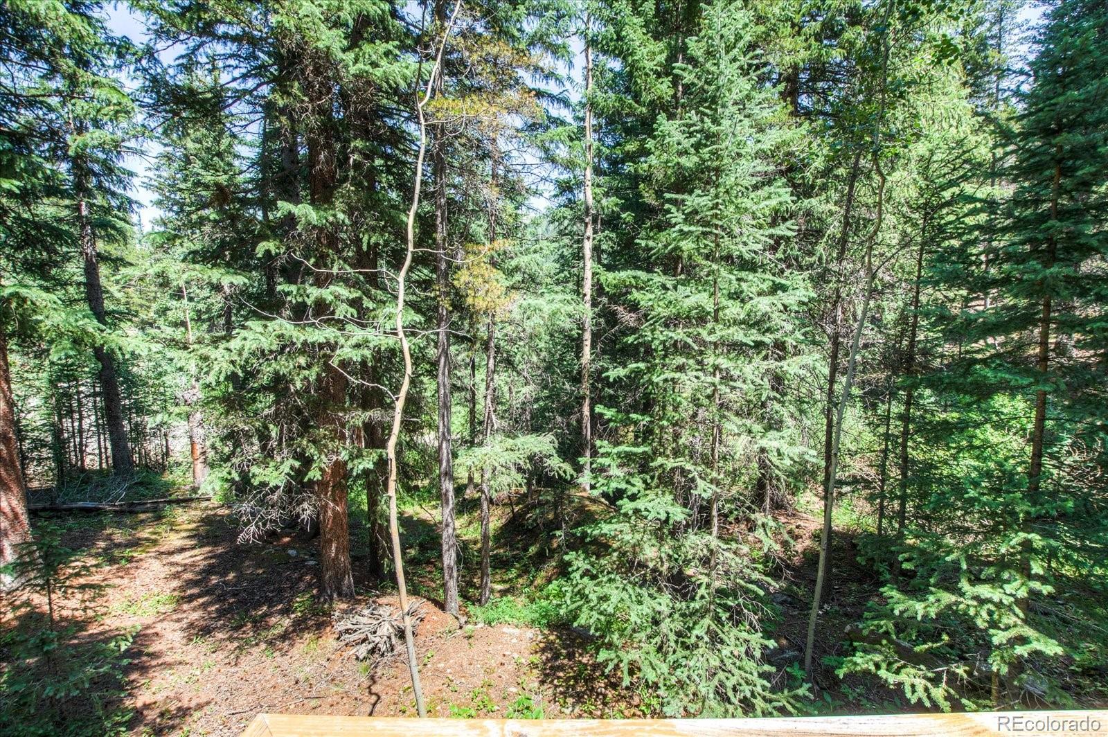 376 Ridge View Trail Idaho Springs, CO 80452 - Photo 27 of 29 Gallery Image 27