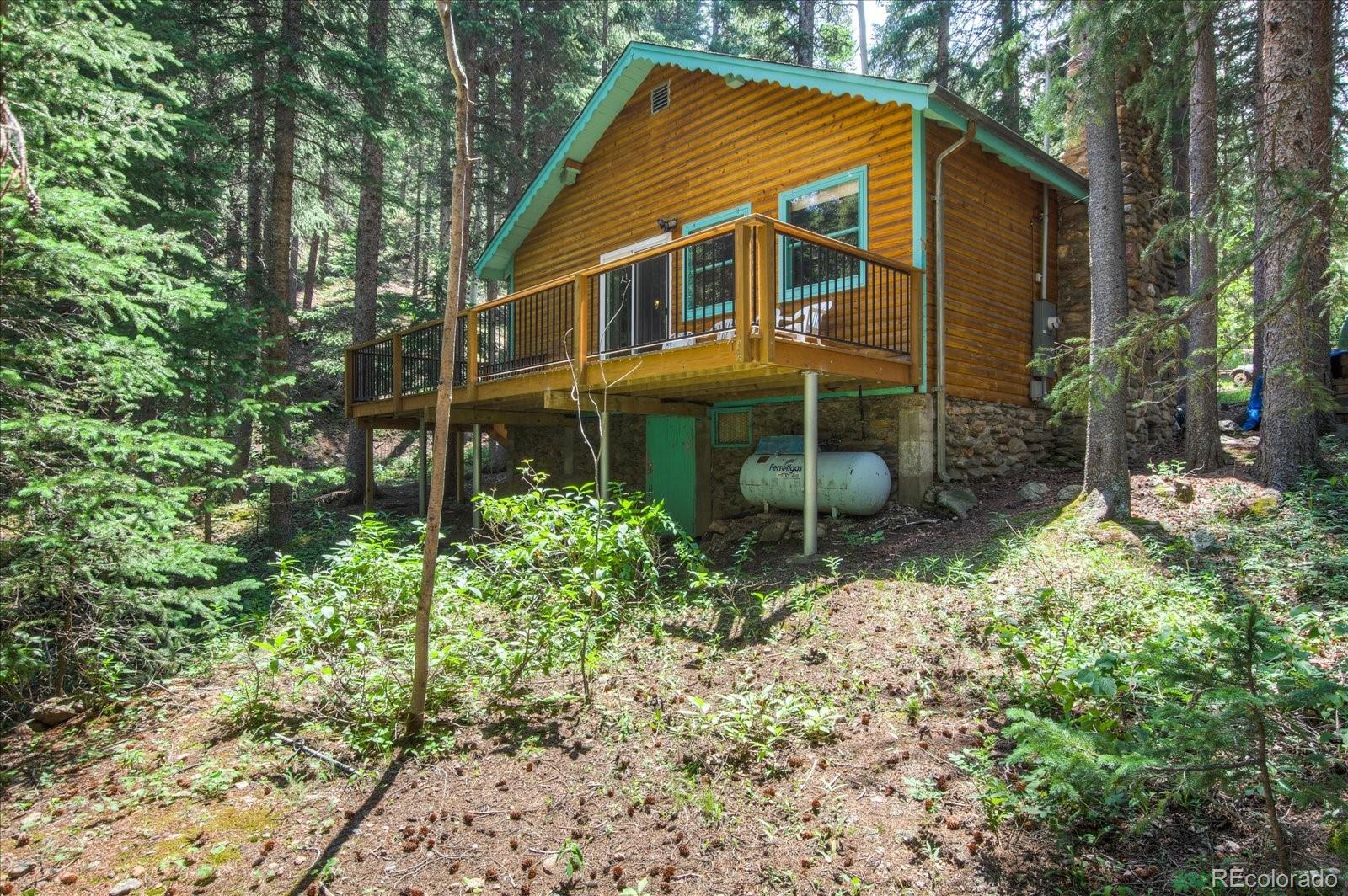 376 Ridge View Trail Idaho Springs, CO 80452 - Photo 29 of 29 Gallery Image 29