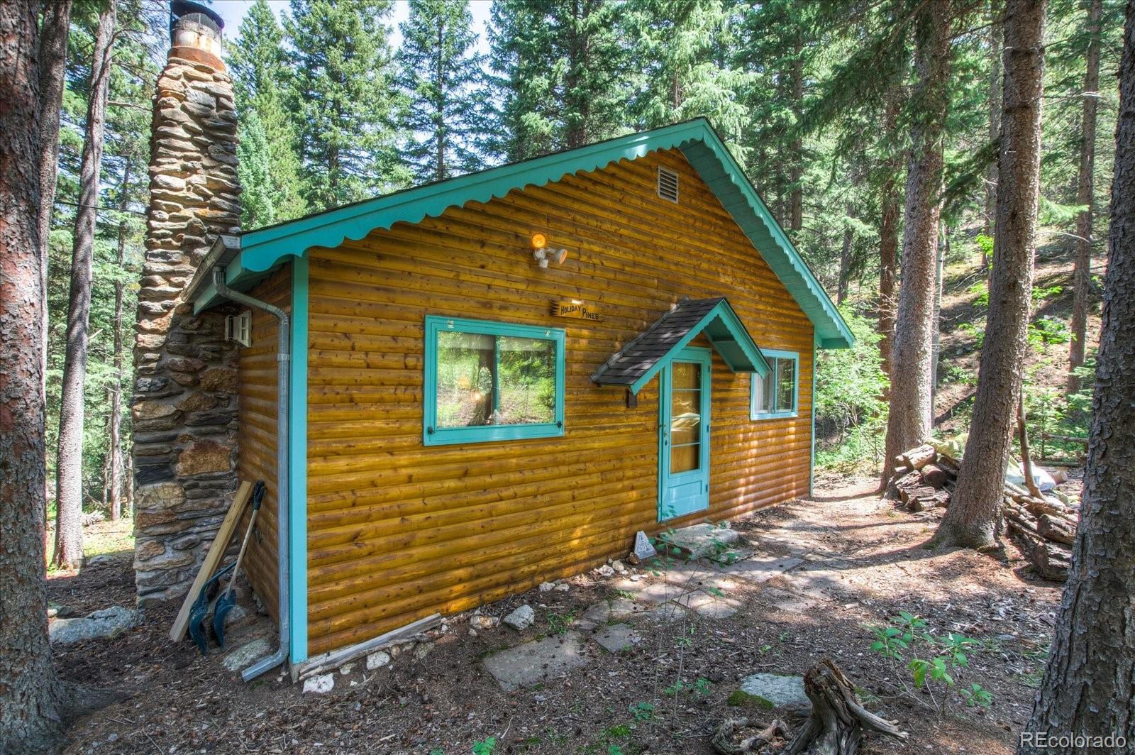 376 Ridge View Trail Idaho Springs, CO 80452 - Photo 3 of 29 Gallery Image 3