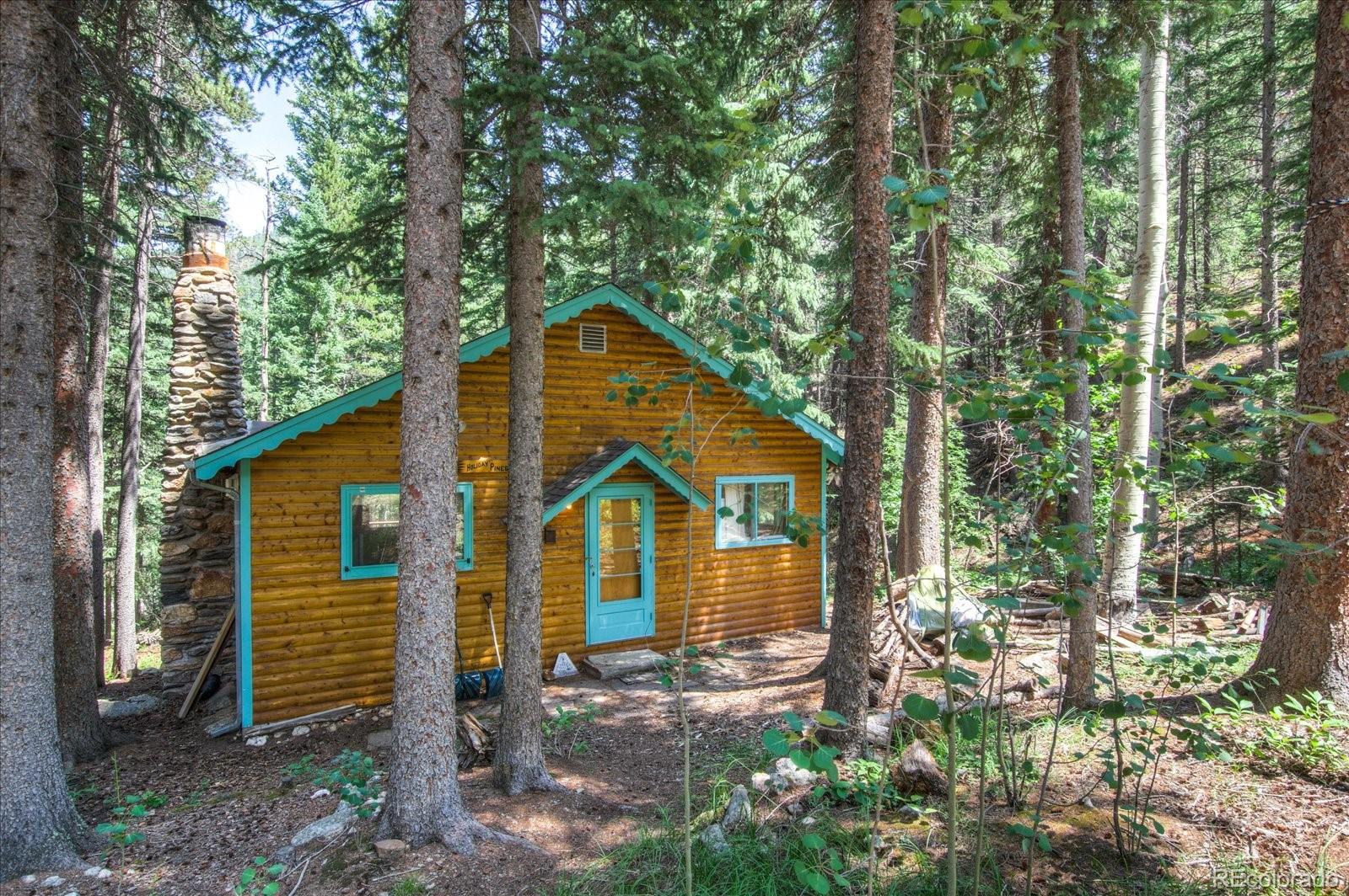 376 Ridge View Trail Idaho Springs, CO 80452 - Photo 4 of 29 Gallery Image 4