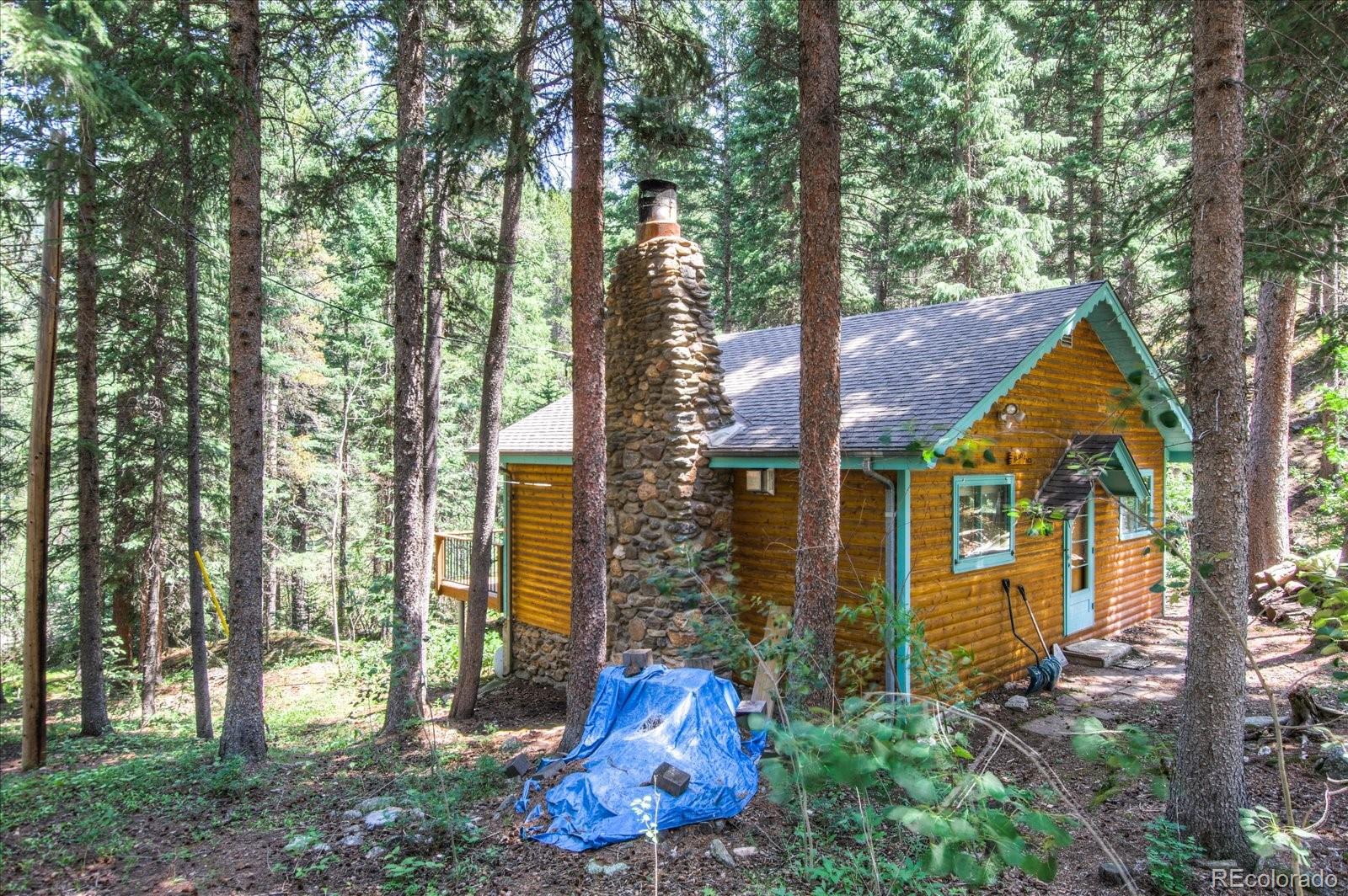 376 Ridge View Trail Idaho Springs, CO 80452 - Photo 5 of 29 Gallery Image 5