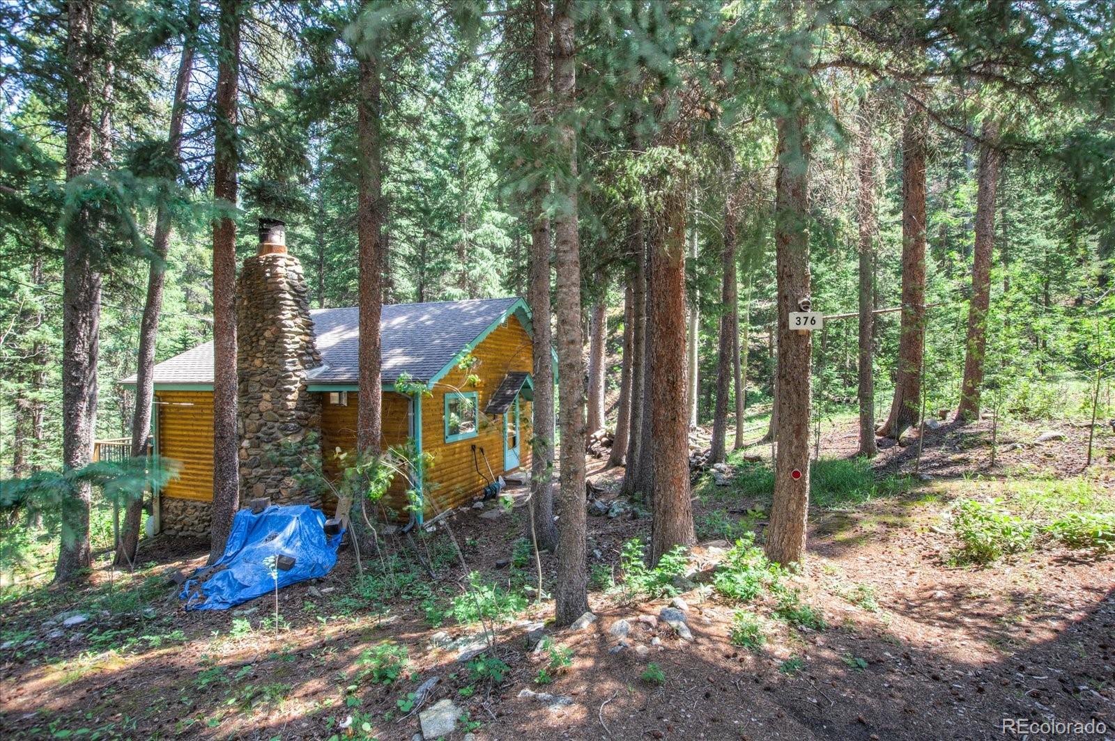 376 Ridge View Trail Idaho Springs, CO 80452 - Photo 6 of 29 Gallery Image 6