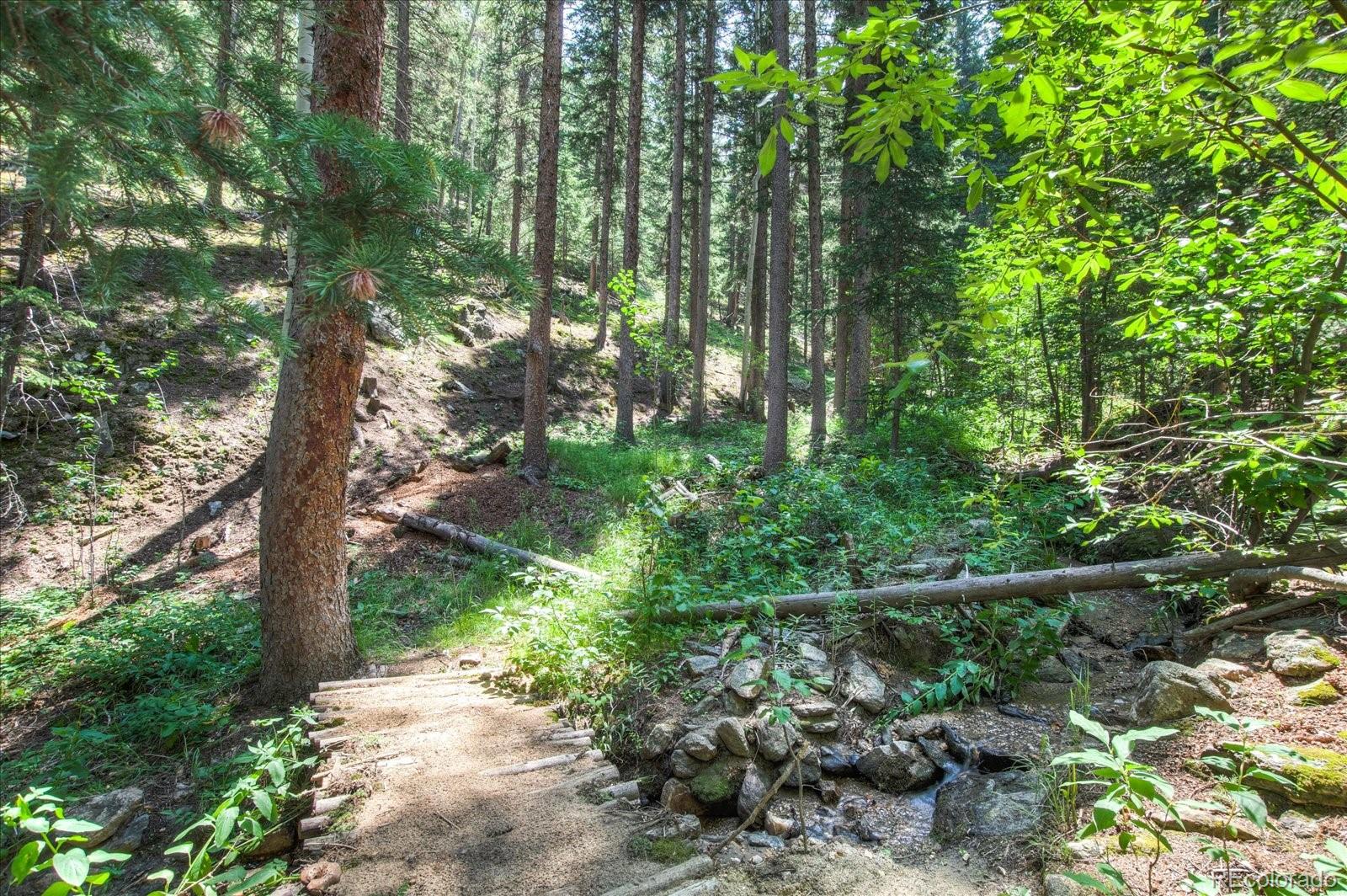 376 Ridge View Trail Idaho Springs, CO 80452 - Photo 8 of 29 Gallery Image 8