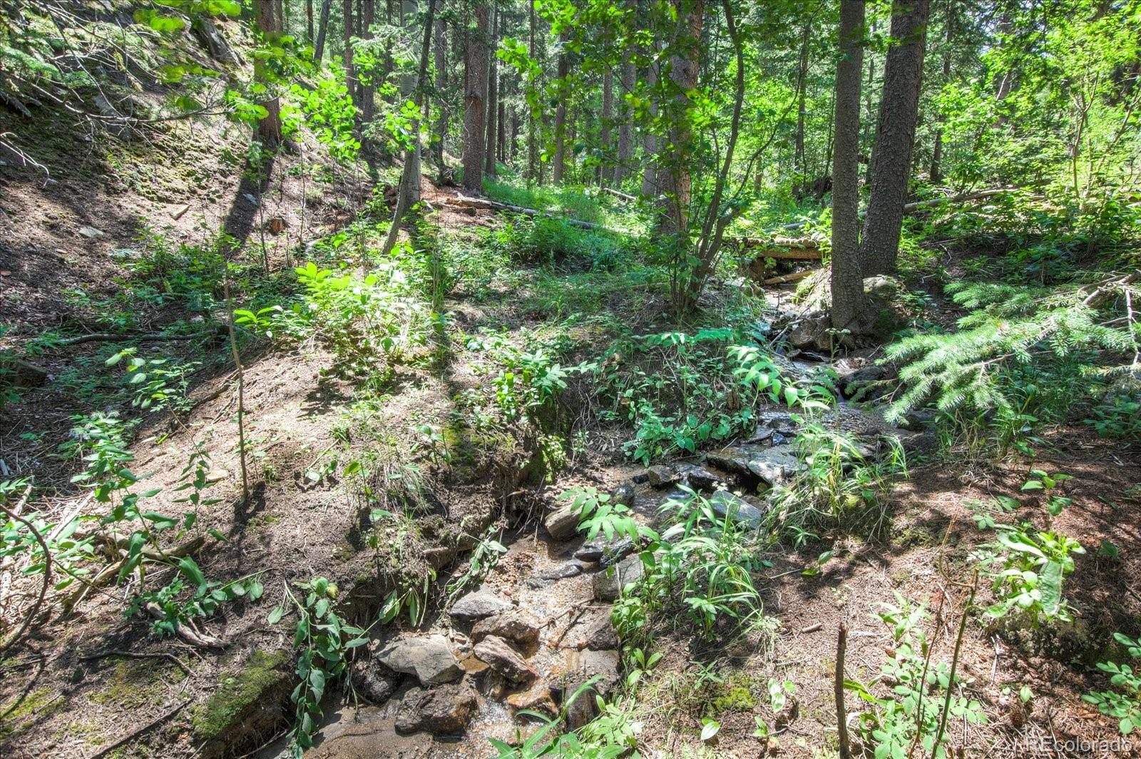 376 Ridge View Trail Idaho Springs, CO 80452 - Photo 9 of 29 Gallery Image 9