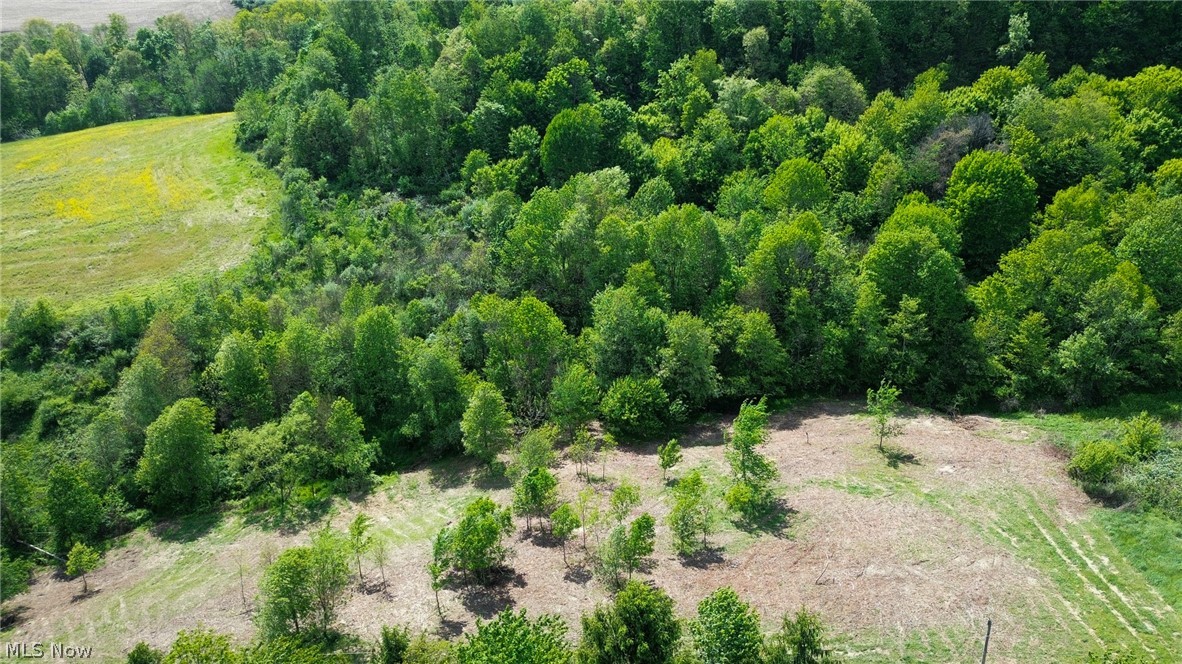 Degen Road Southwest Stone Creek, OH 43840 - Photo 2 of 19