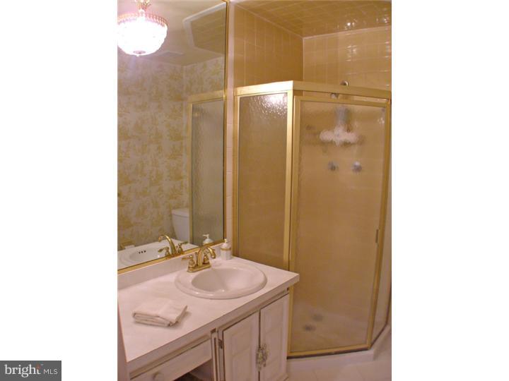 4937 New Road Buckingham, PA 18938 - Photo 16 of 25 Master Bathroom