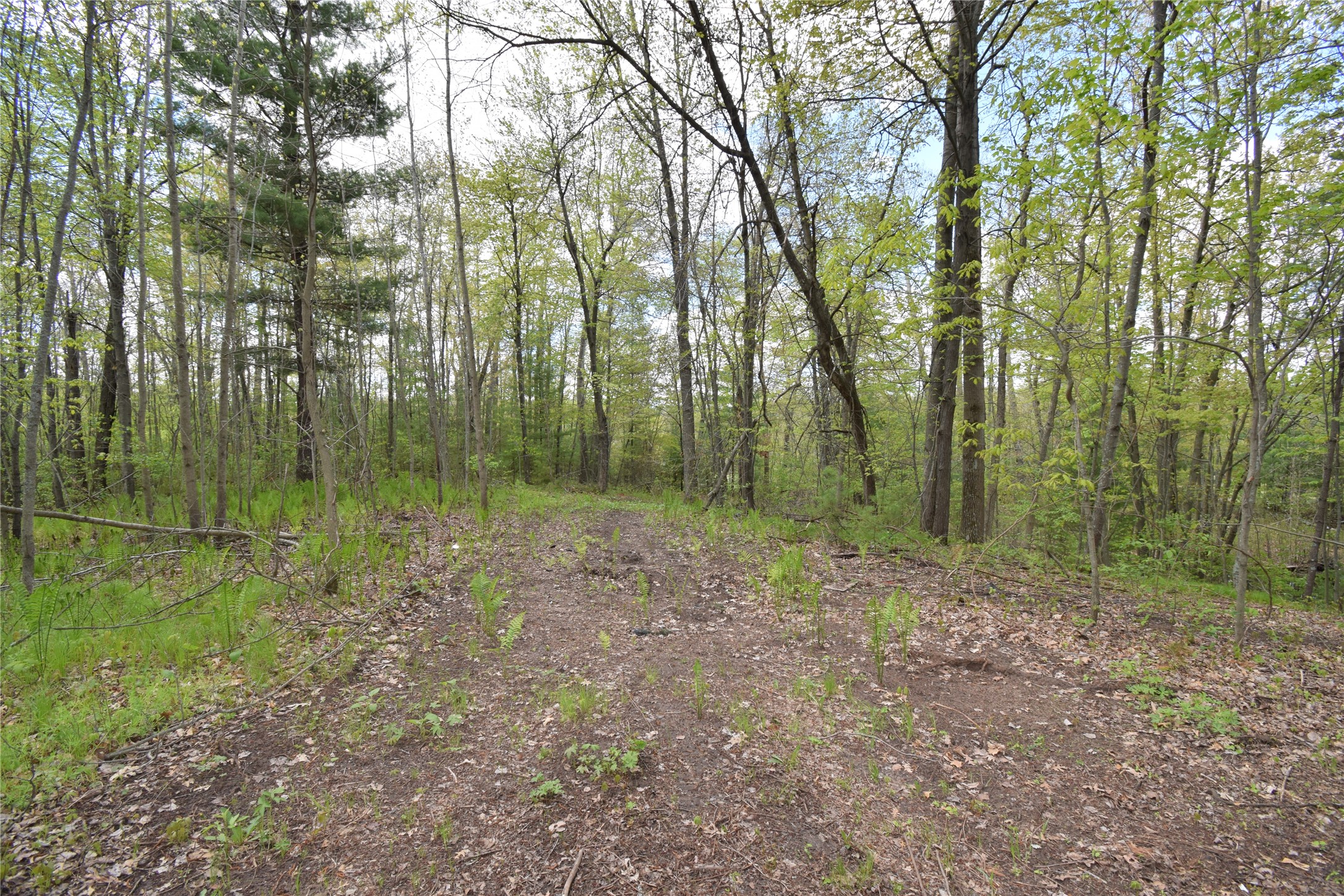 25383 Mansfield Road Webster, WI 54893 - Photo 23 of 36