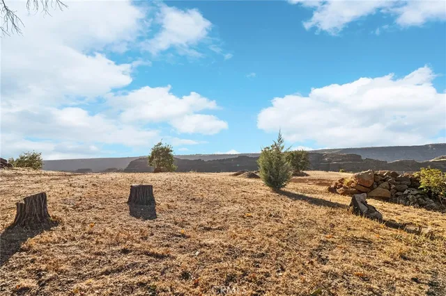 a view of a backyard of a house