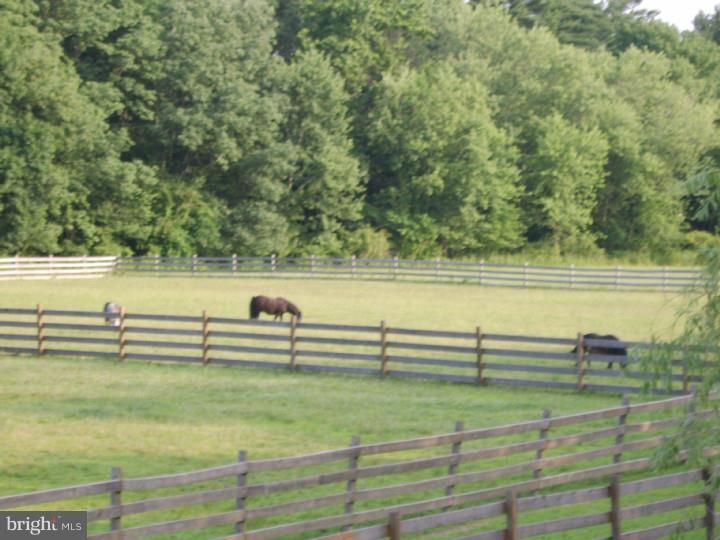 1159 Horsham Road Ambler, PA 19002 - Photo 7 of 24 View