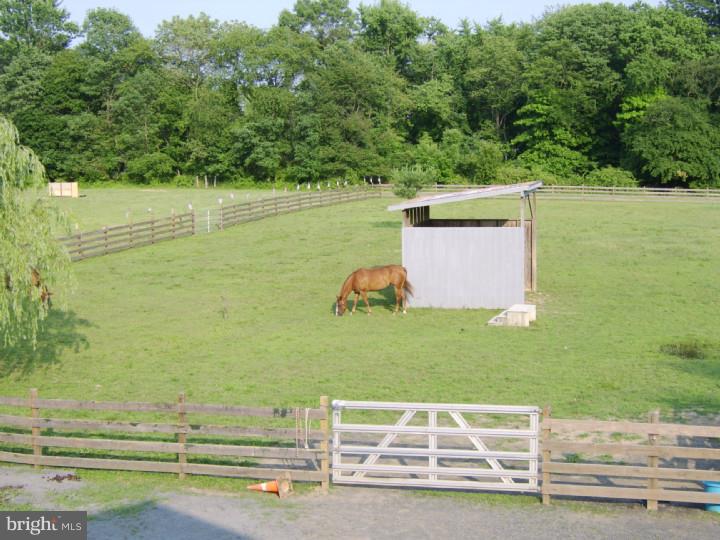 1159 Horsham Road Ambler, PA 19002 - Photo 8 of 24 Gallery Image 8