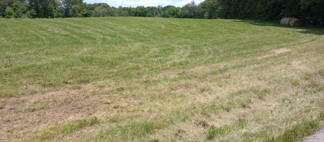 7360 Morgantown Road Franklin, KY 42134 - Photo 7 of 11 Gallery Image 7