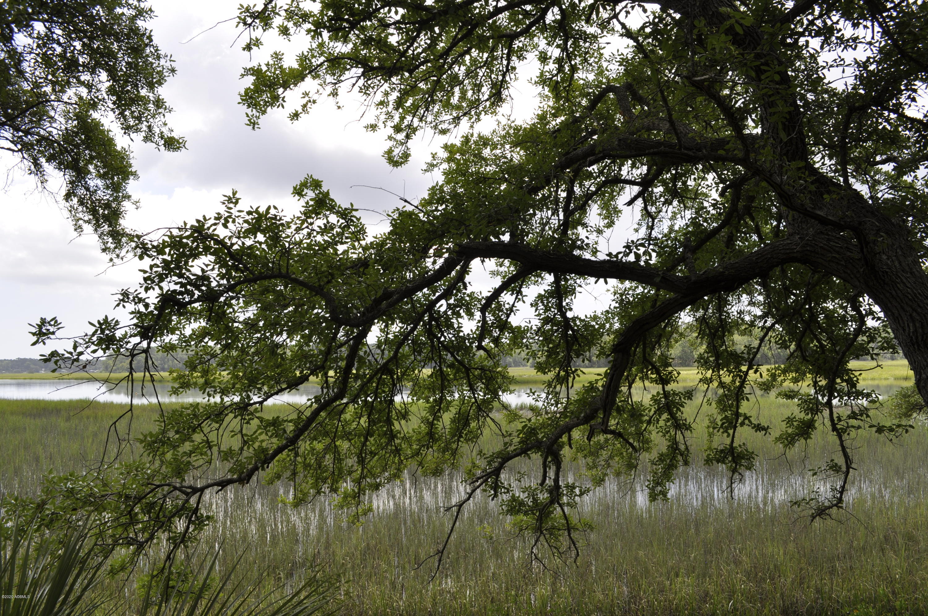 119 Rose Island Road St. Helena Island, SC 29920 - Photo 11 of 14 _DSC0012