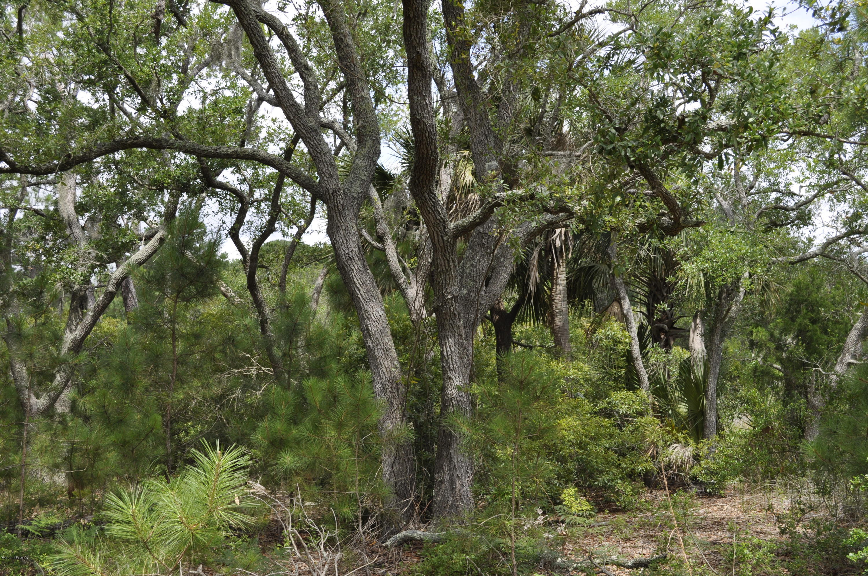 _DSC0007