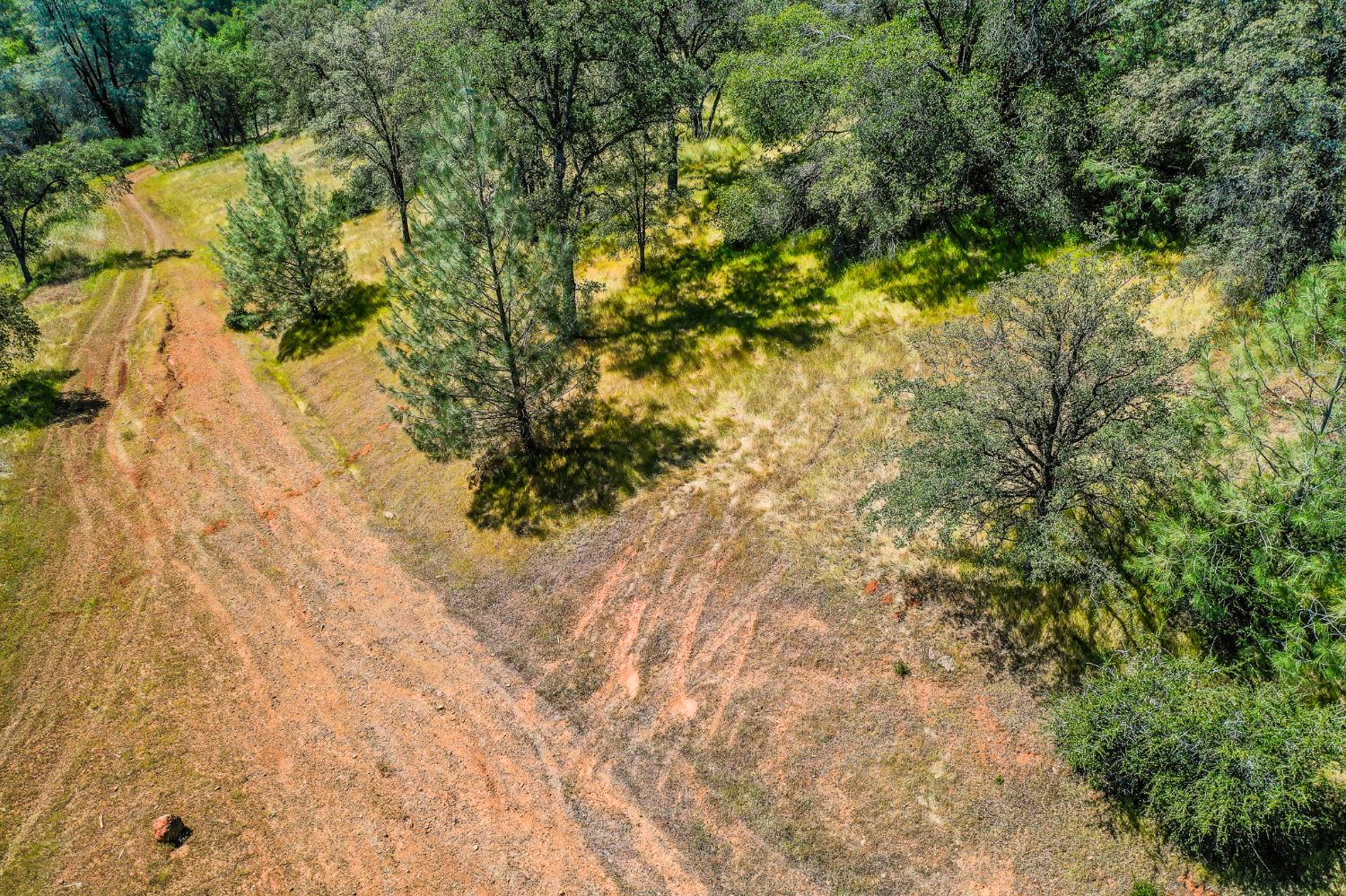 29 Township Road Browns Valley, CA 95918 - Photo 17 of 62 Gallery Image 17