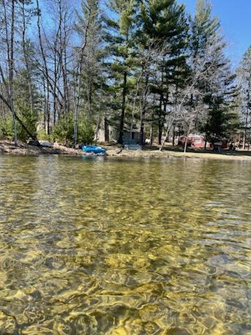 3150 Saddleback Lake Road Comins, MI 48619 - Photo 58 of 61 IMG_7292
