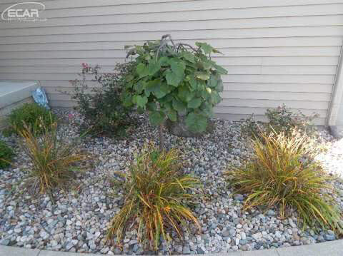 5515 Coldwater Road Flint, MI 48504 - Photo 5 of 44 20435865-4.JPG