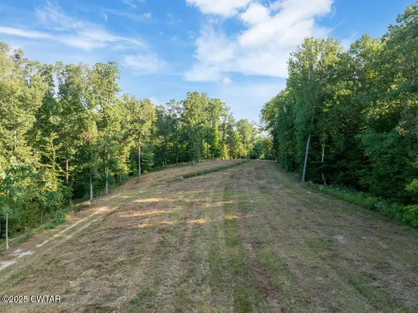 a view of a yard with swimming pool