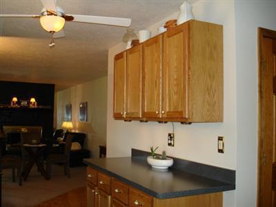 181 Lyon Lake Road Marshall, MI 49068 - Photo 5 of 23 Additional Photo