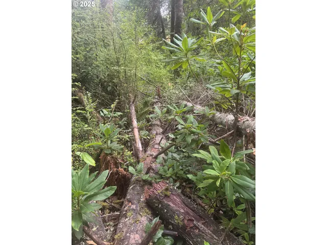$290,000 | 0 Beach Loop Road, Bandon, OR 97411