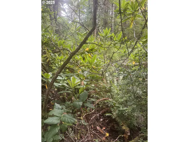 $290,000 | 0 Beach Loop Road, Bandon, OR 97411