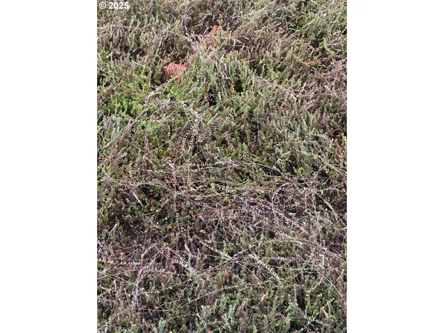 $290,000 | 0 Beach Loop Road, Bandon, OR 97411