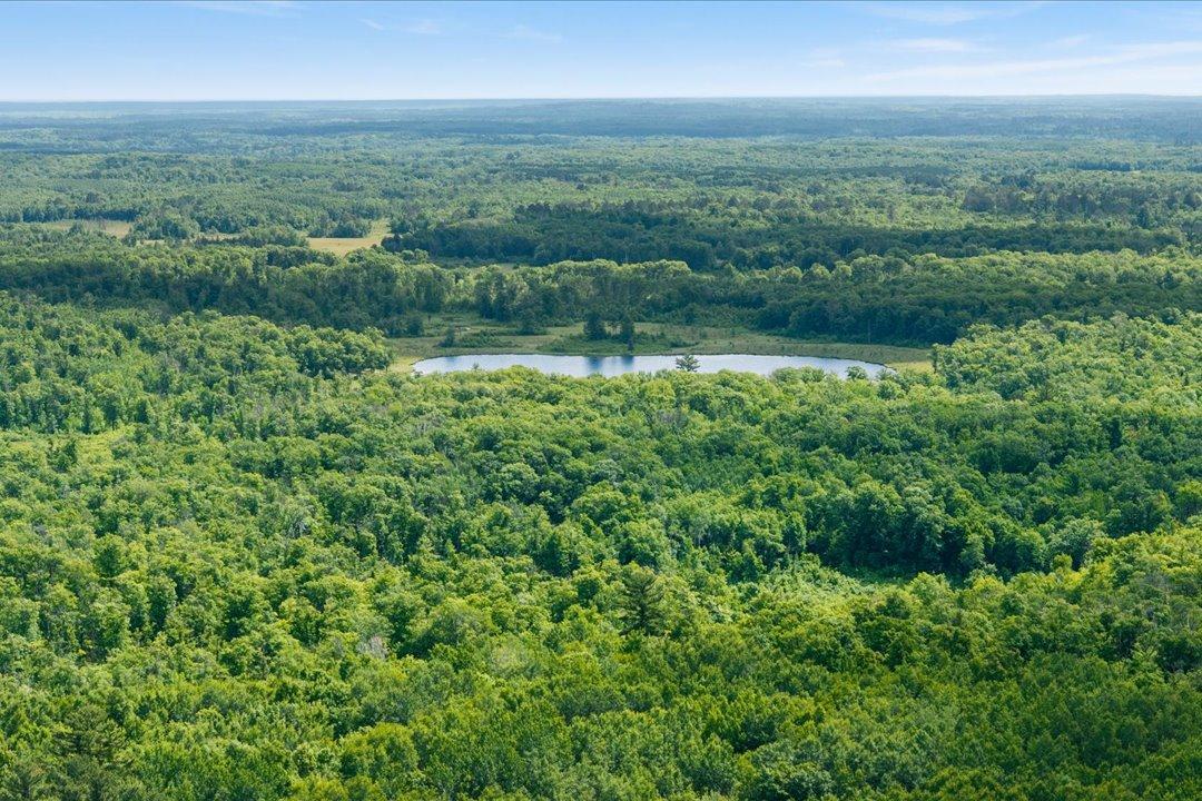 4608 Highway 371 Hackensack, MN 56452 - Photo 46 of 71