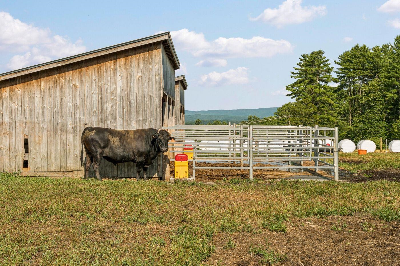 83 Town Farm Hill Road Hartland, VT 05048 - Photo 46 of 49