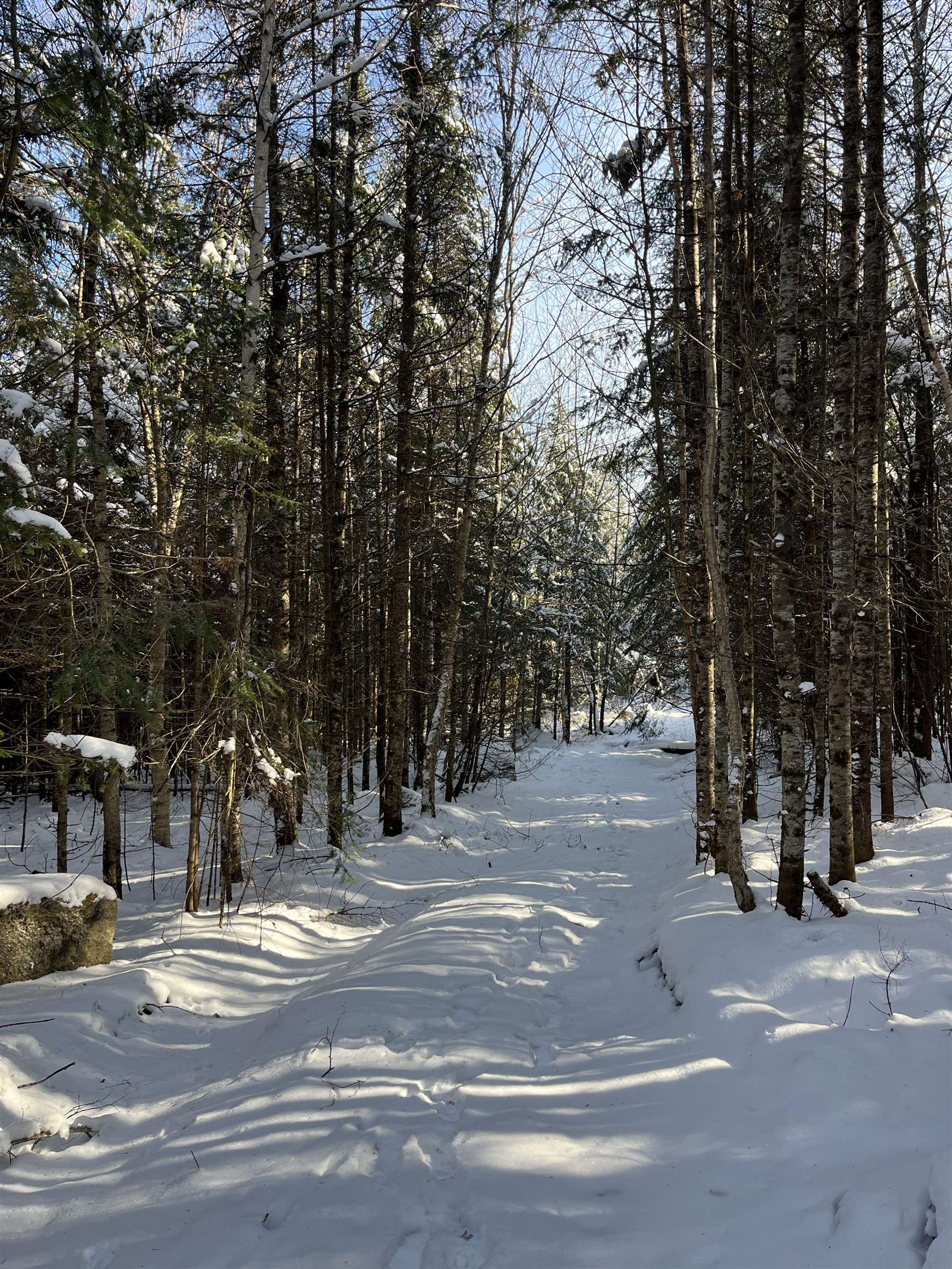 0 Shadow Lake Road Glover, VT 05839 - Photo 20 of 59 Gallery Image 20