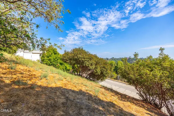 a view of a yard with a tree